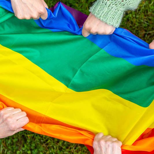 Who Designed The LGBT Flag?